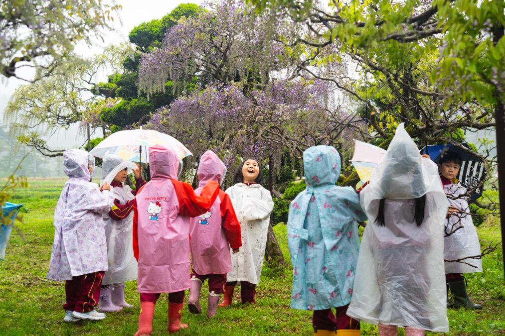 開花情報20250520