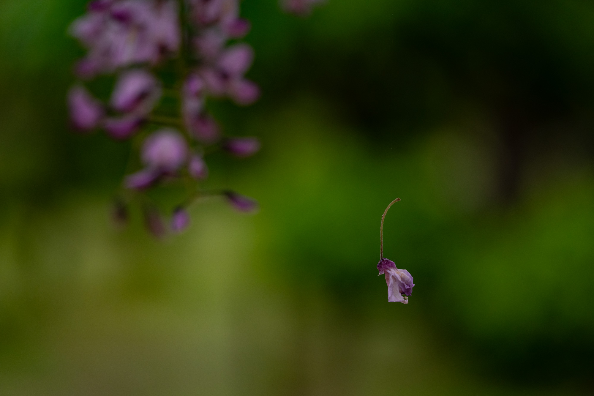 DSC00346