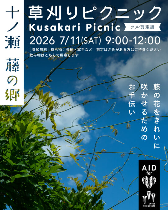 草刈りピクニック【ツル剪定編】